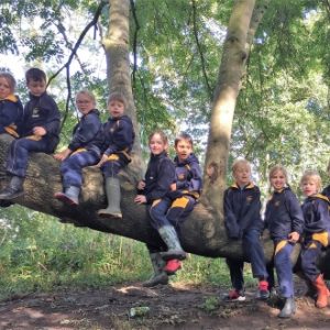 Cottingley Primary school all sat on a tree branch