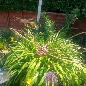 2 willow dragon flies in a garden.